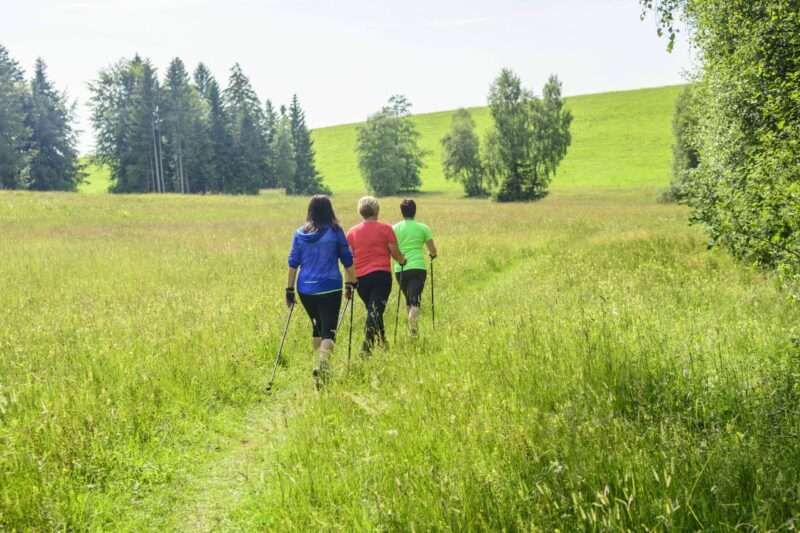 Beim Sport die Natur erleben: Nordic Walking in Franken