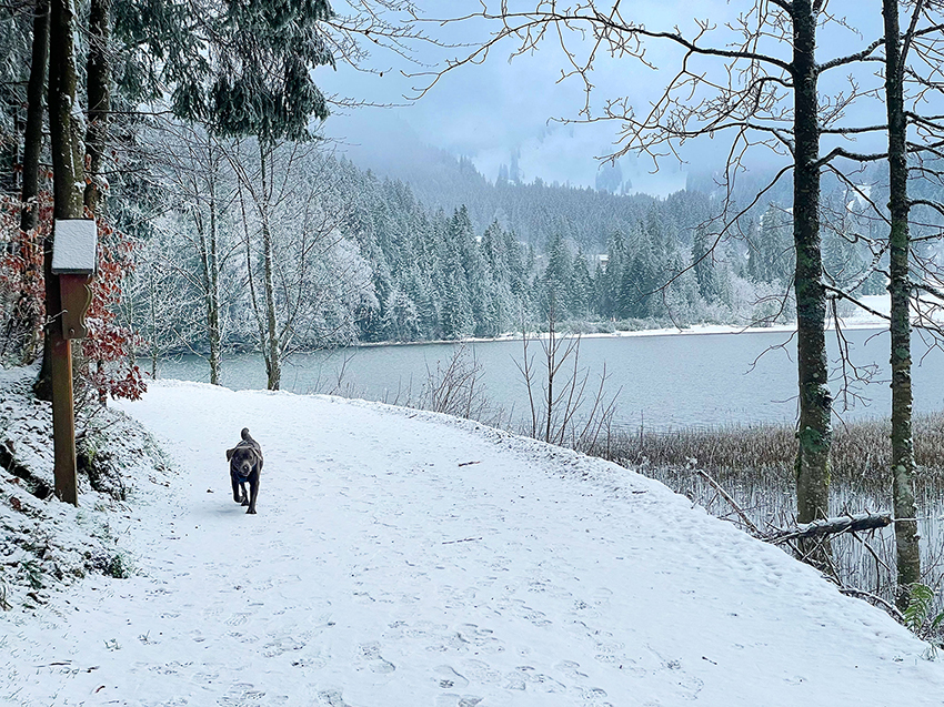 Der Valepper Almenrundweg ist einen Winterspaziergang wert.