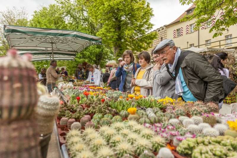 Frühlingserwachen: Die Gartentage auf Schloss Guteneck