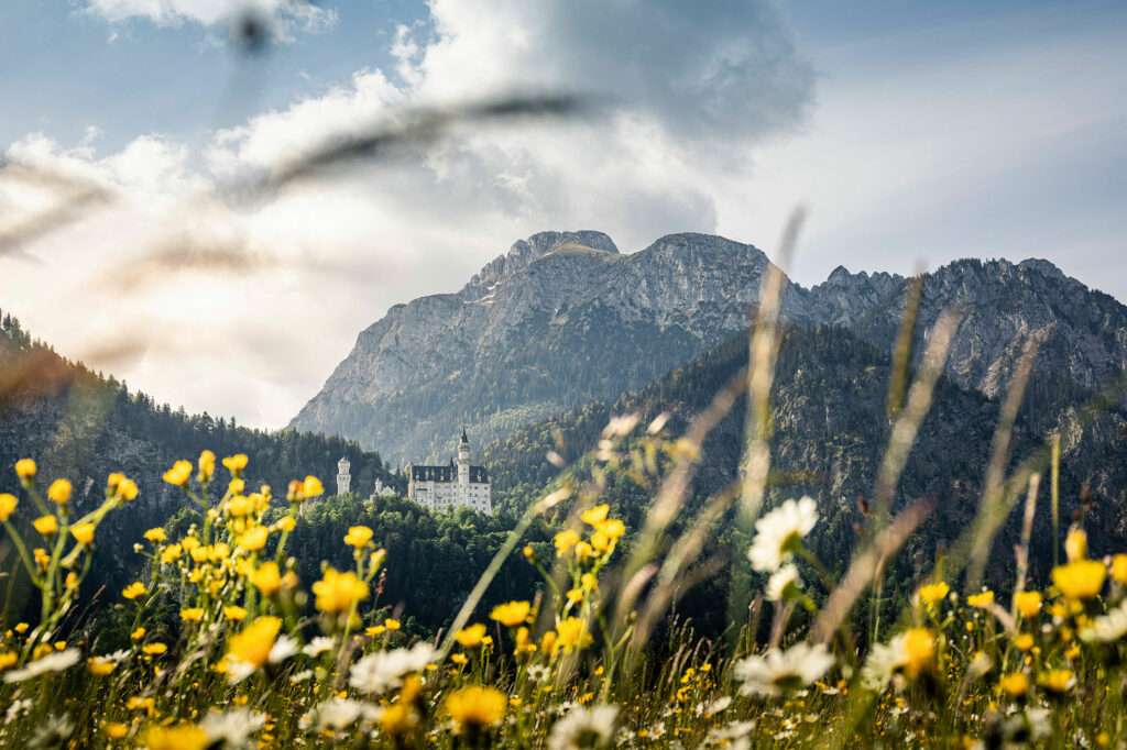 Schloss Neuschwanstein im Frühling.