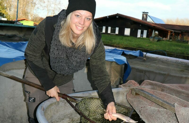 Donaufischerin Kathi Mayer muss den Fischbestand gut beobachten.