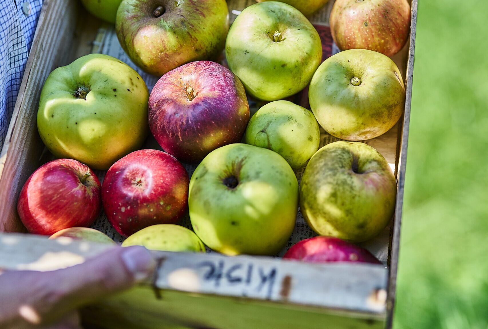 Schluck für Schluck zum Schutz der Streuobstwiesen